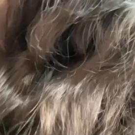Stella Violet Onlyfans Car Blowjob Video Leaked