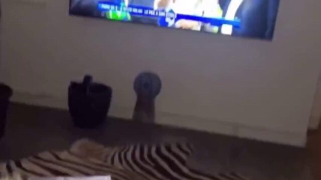 Callmeslooo Gets Fucked While Watching Video Leaked